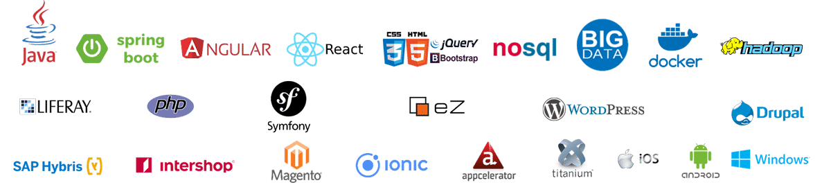 Java, Spring-Boot, Angular, React, SAP Hybris, Intershop, nosql, Big Data, Php, Symfony; Drupal, IoS, Android, ionic, hadoop