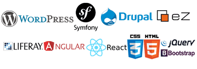 Wordpress, Drupal, Angular, React